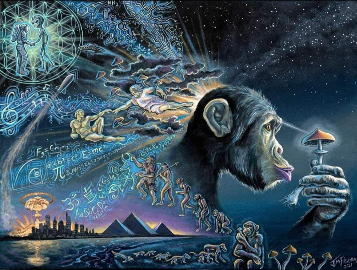 psychedelics artwork